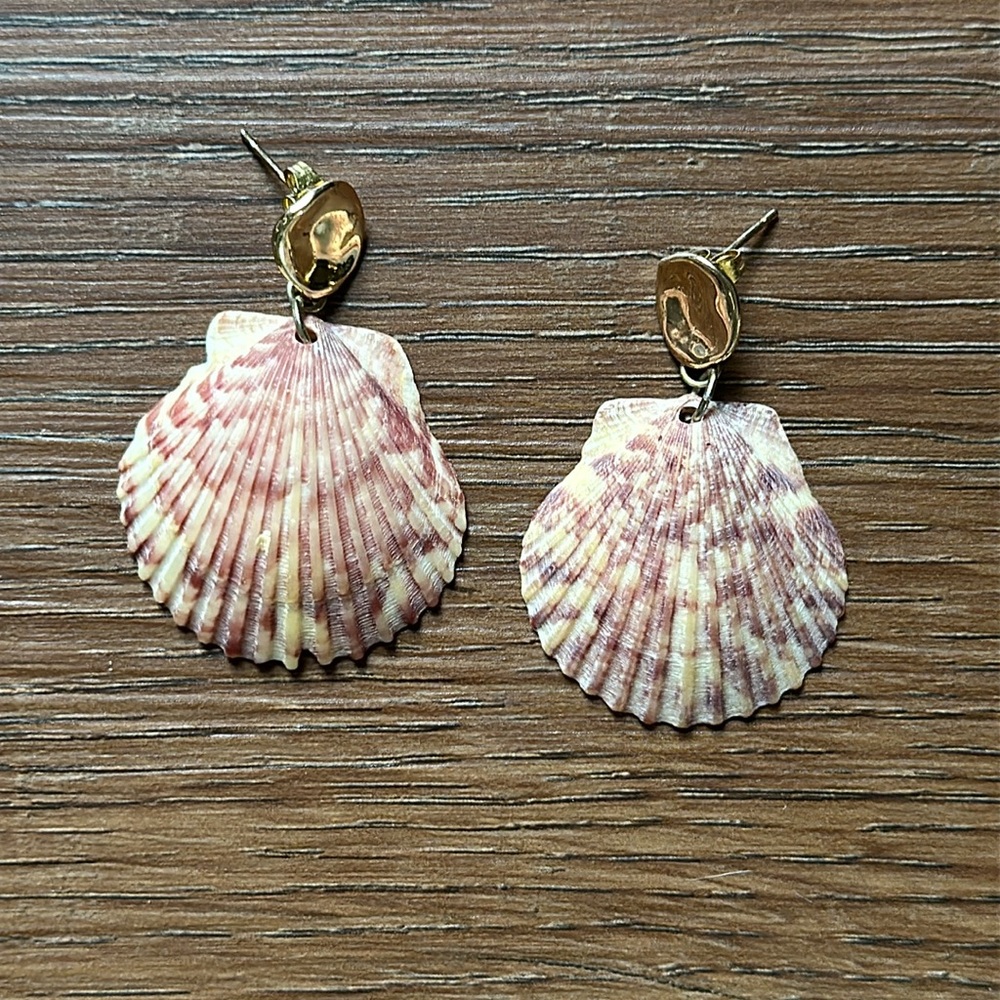 Seashell Earrings - image 2